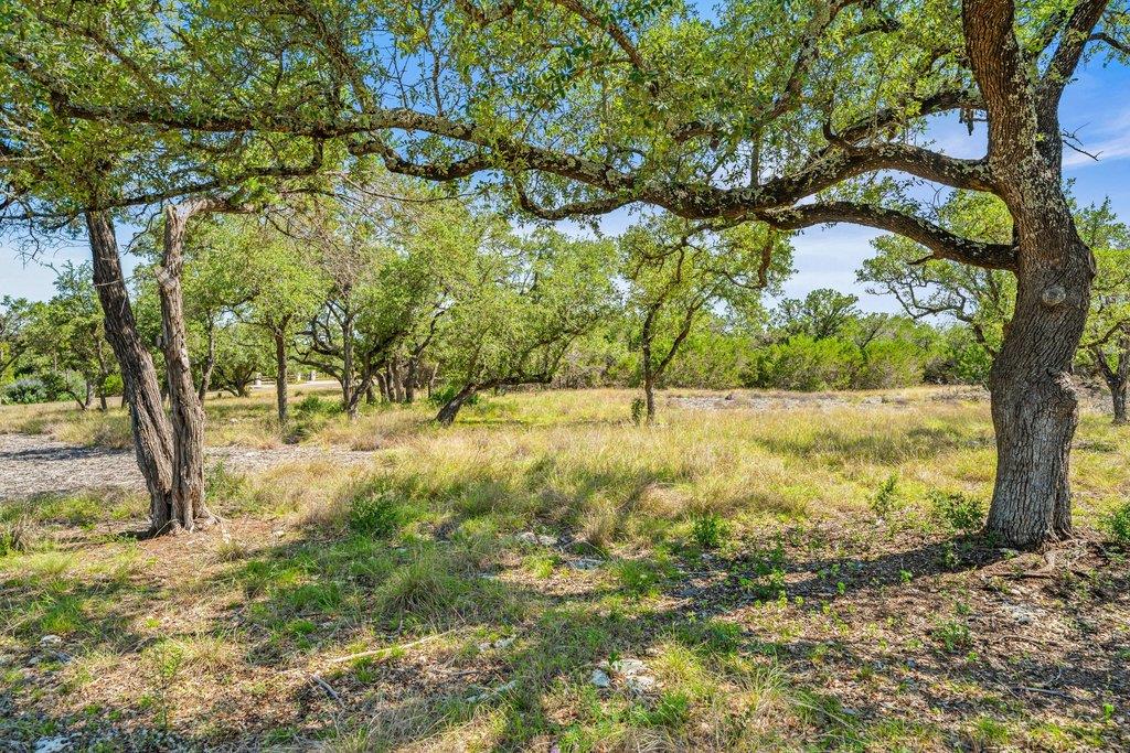300 Stonegate Ln, Dripping Springs, TX 78620
