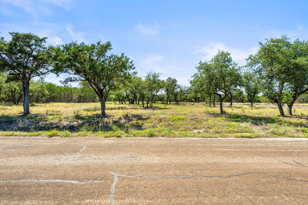 300 Stonegate Ln, Dripping Springs, TX 78620