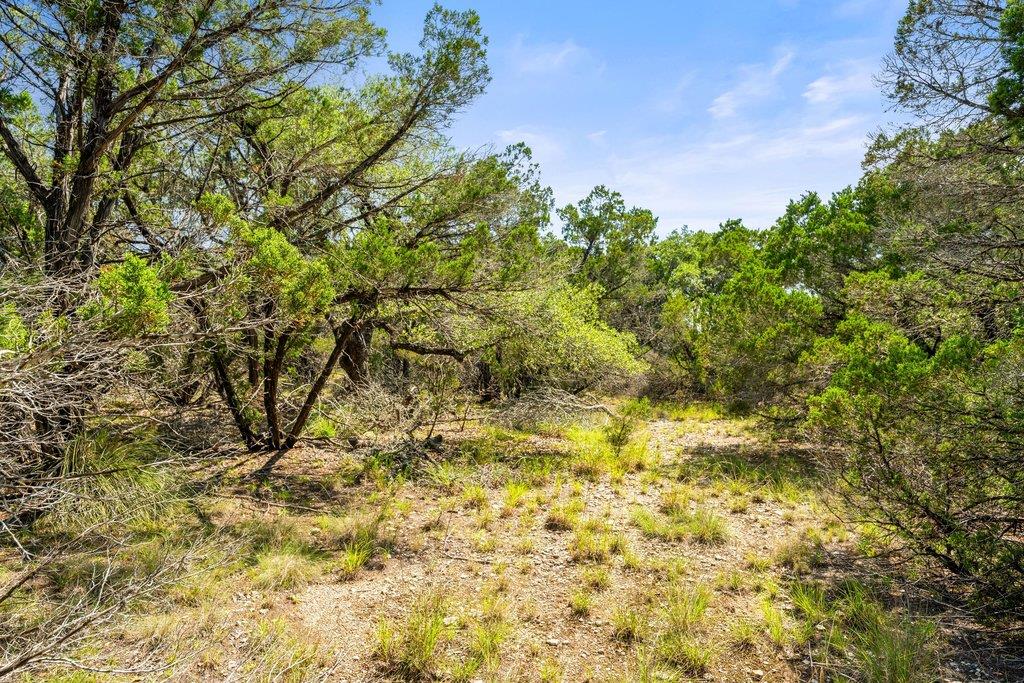 300 Stonegate Ln, Dripping Springs, TX 78620