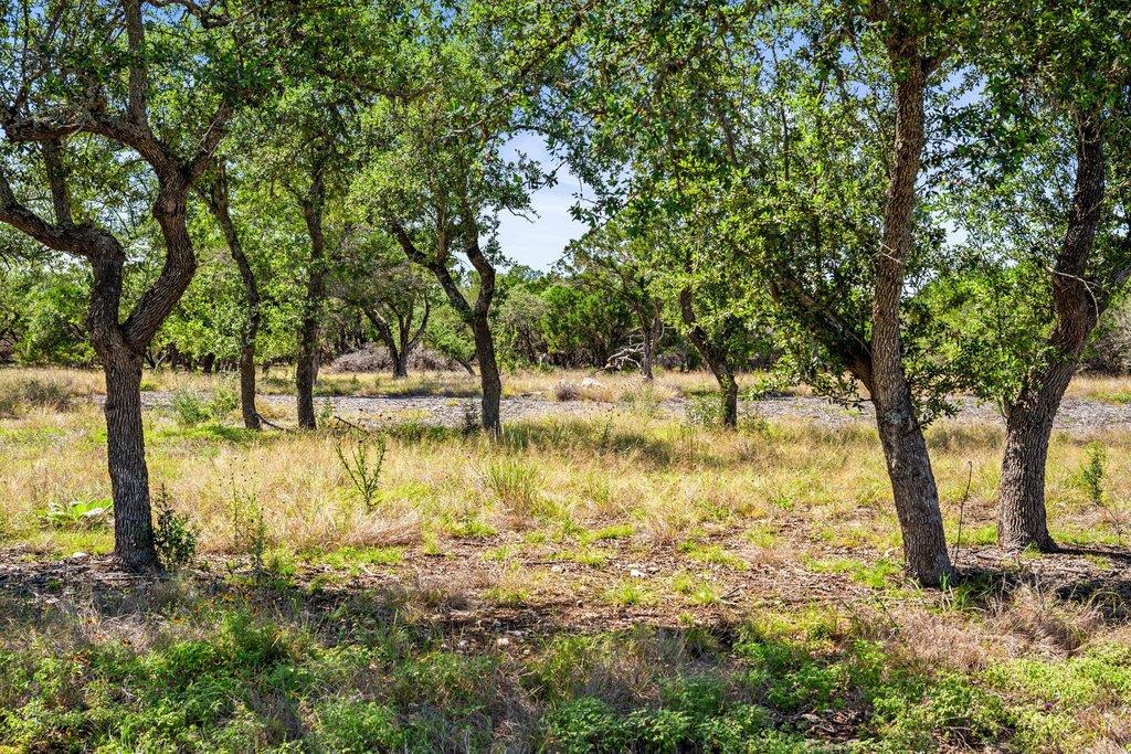 300 Stonegate Ln, Dripping Springs, TX 78620