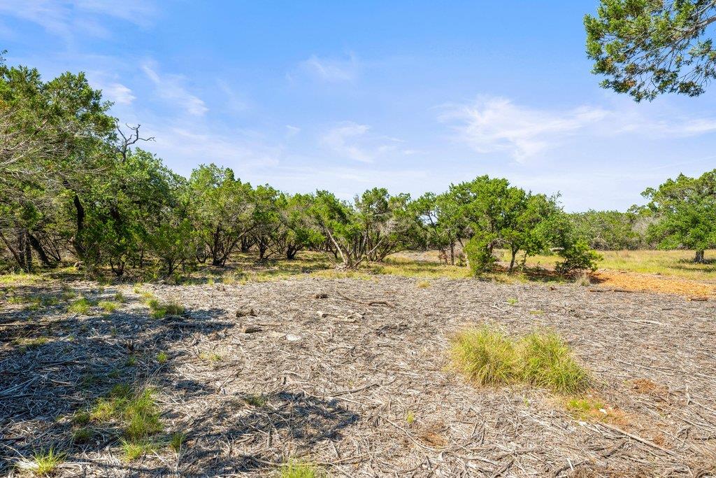 300 Stonegate Ln, Dripping Springs, TX 78620