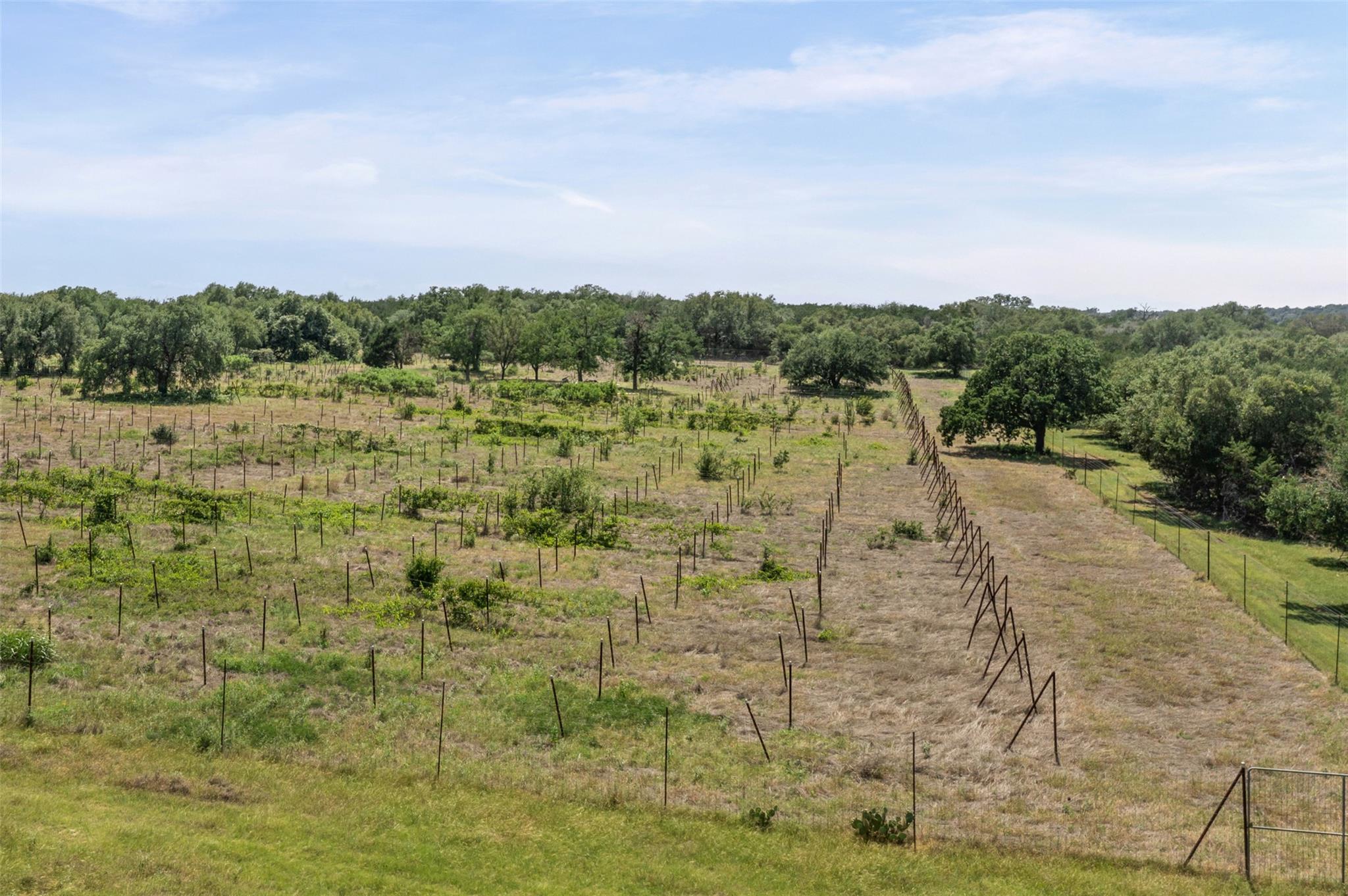 1306 Hidden Springs Dr, Salado, TX 76571