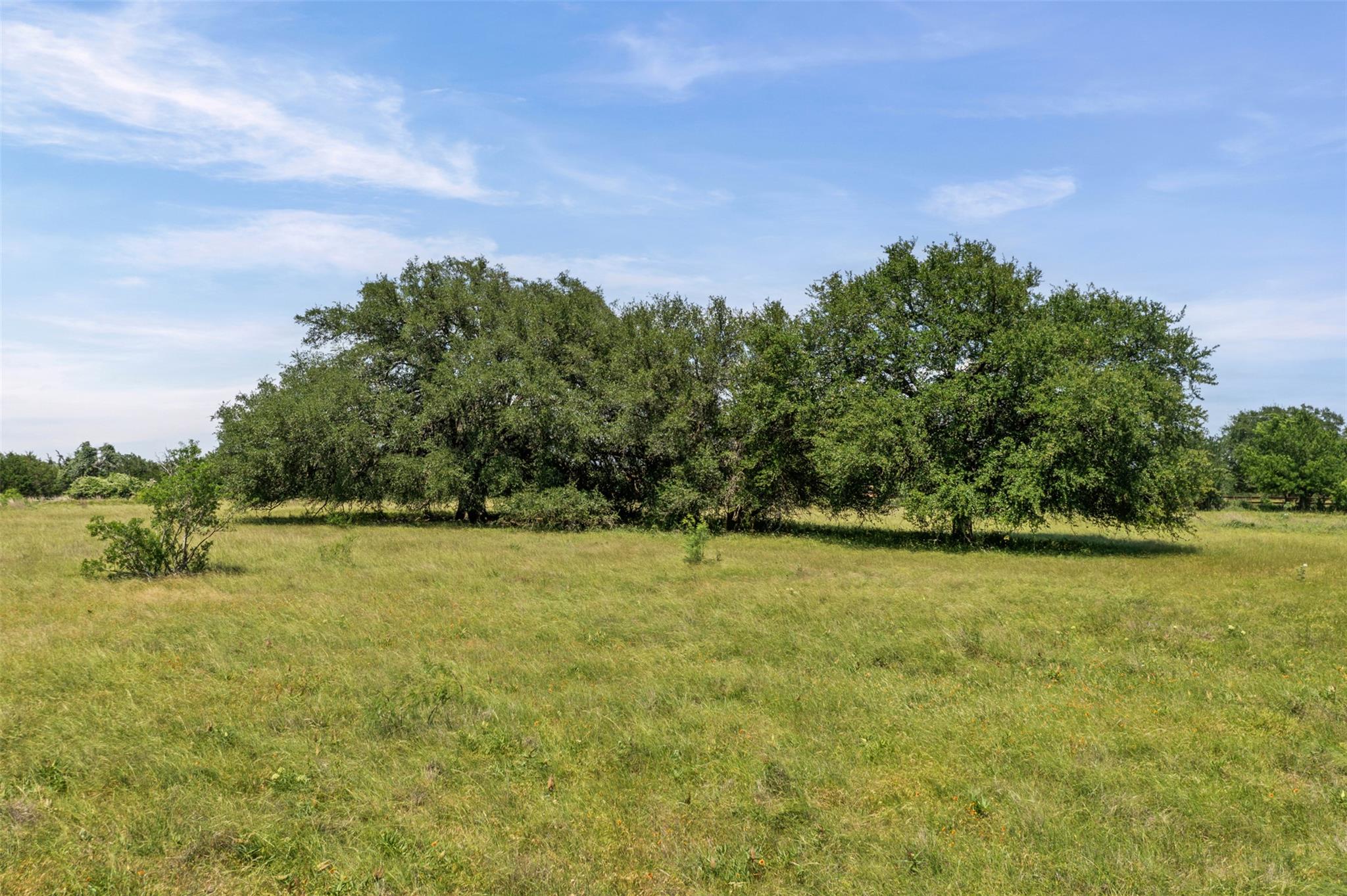 1306 Hidden Springs Dr, Salado, TX 76571