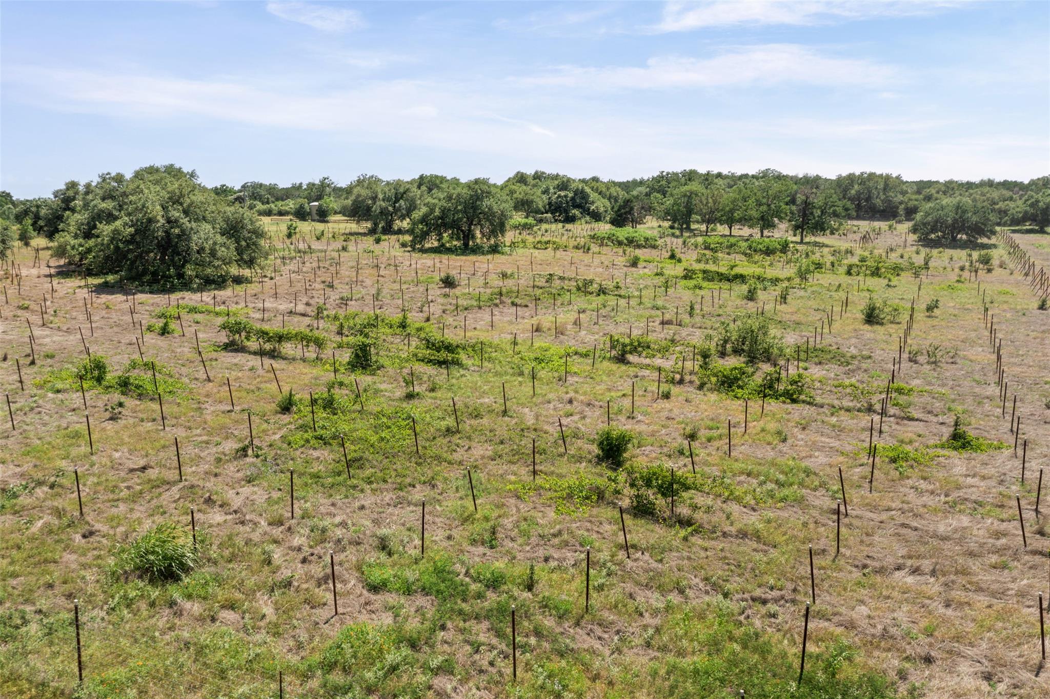 1306 Hidden Springs Dr, Salado, TX 76571