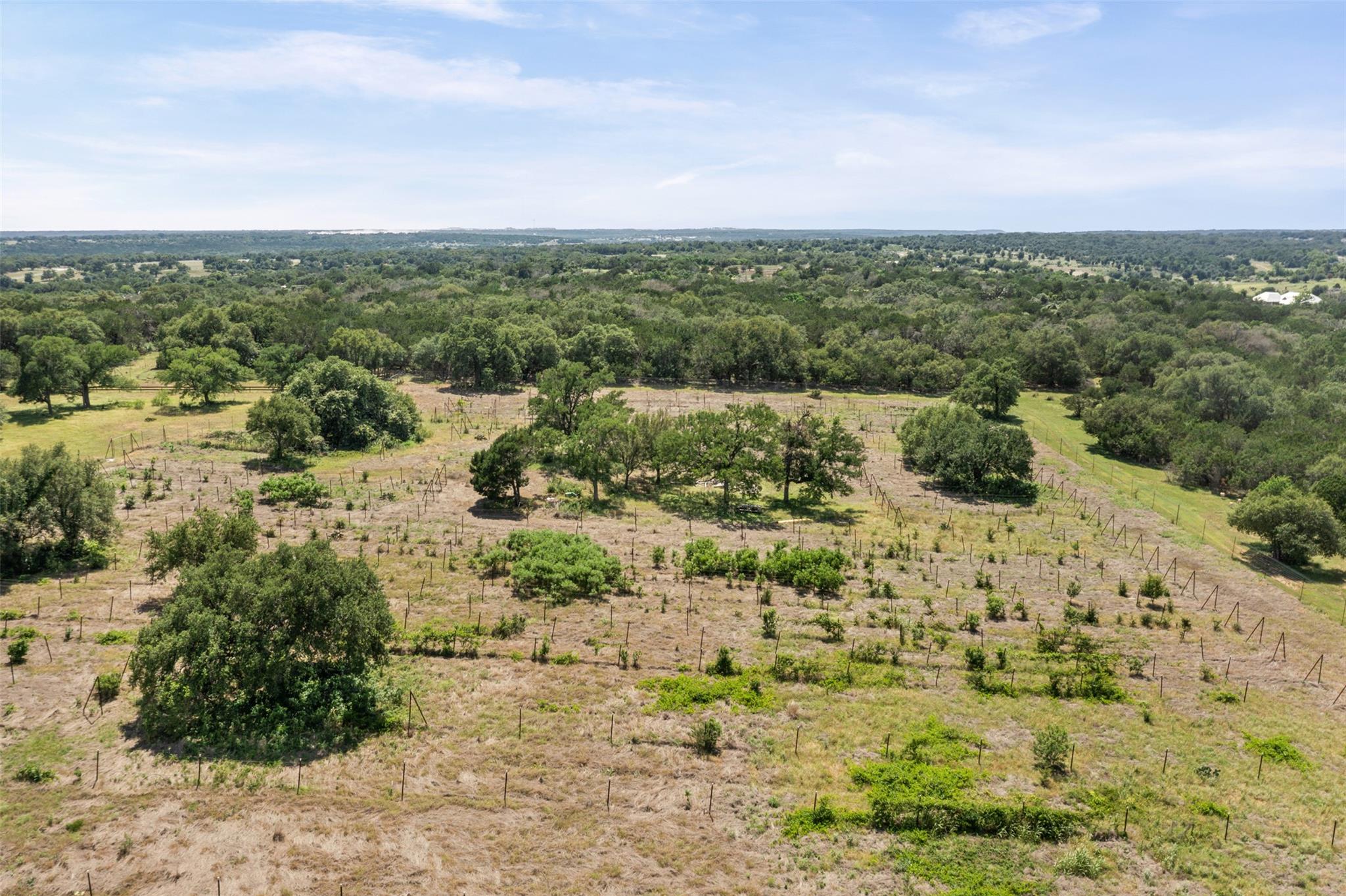 1306 Hidden Springs Dr, Salado, TX 76571