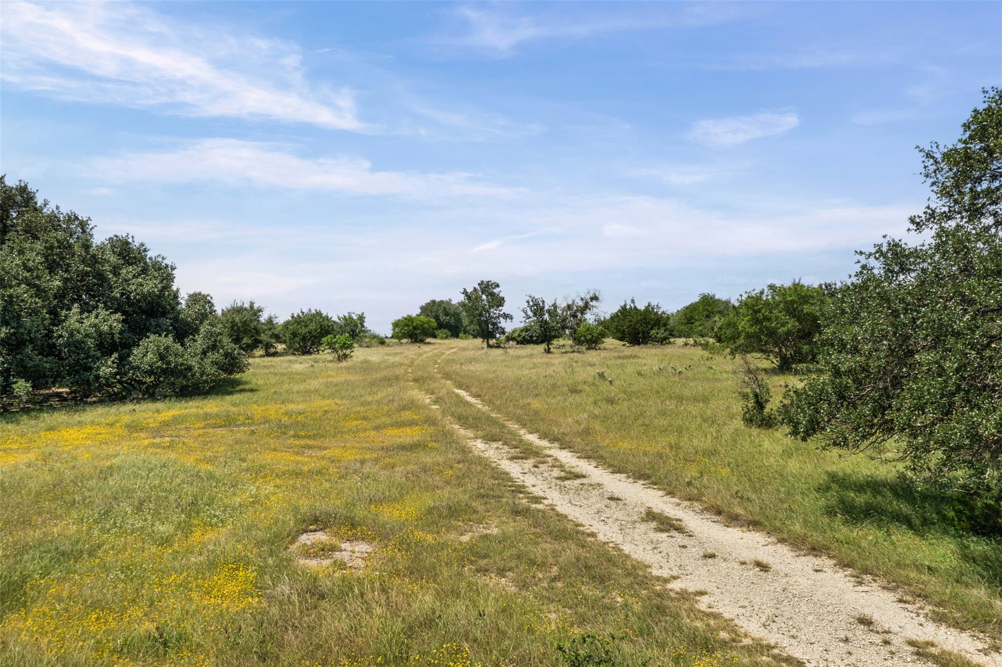 1306 Hidden Springs Dr, Salado, TX 76571
