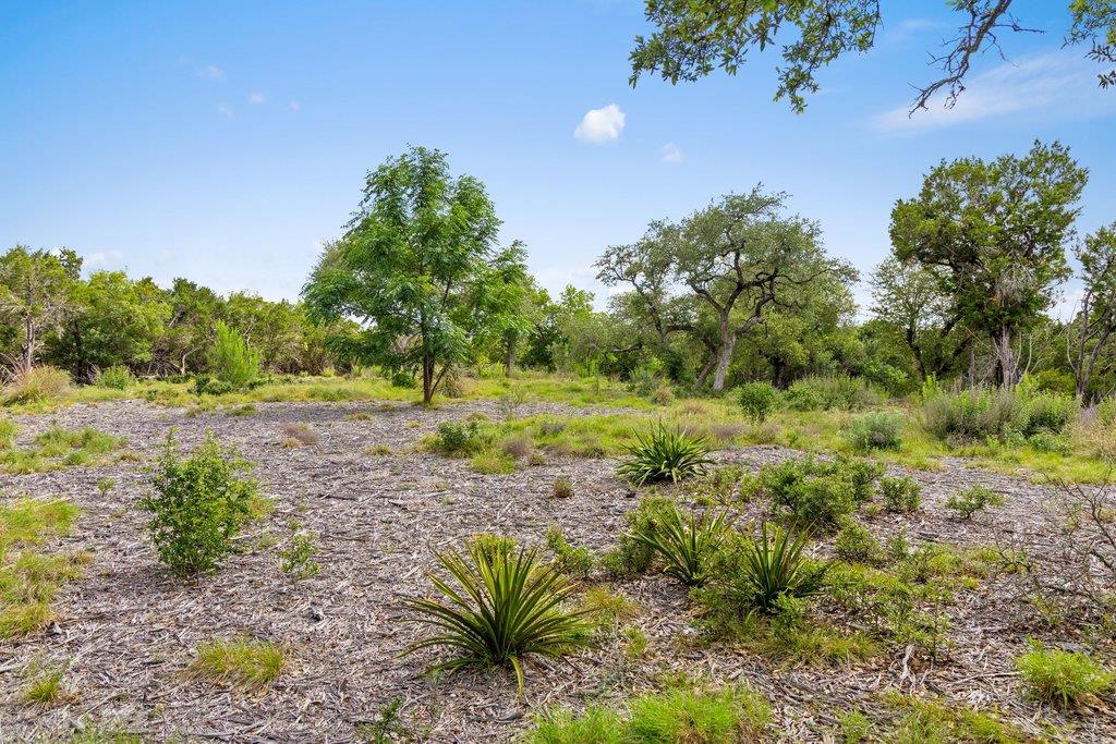 137 Glory Ln, Leander, TX 78641