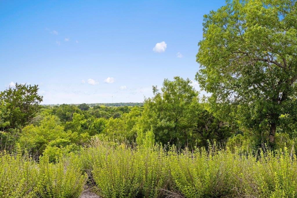 137 Glory Ln, Leander, TX 78641
