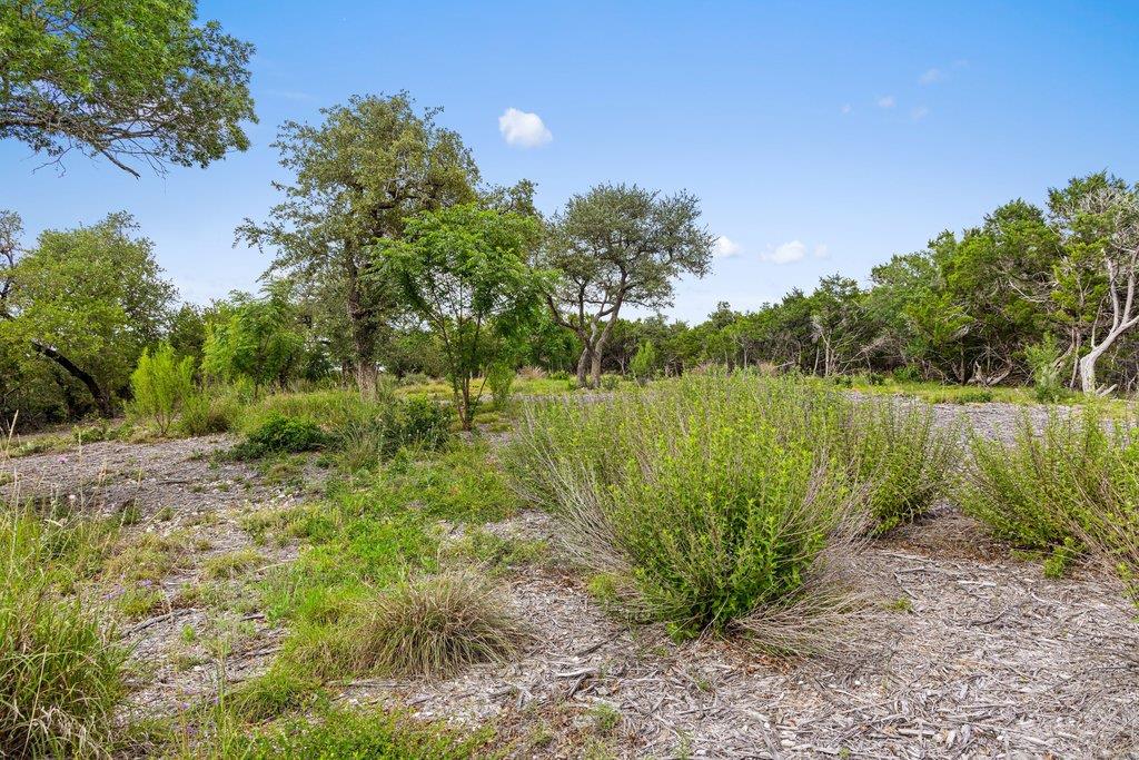 137 Glory Ln, Leander, TX 78641