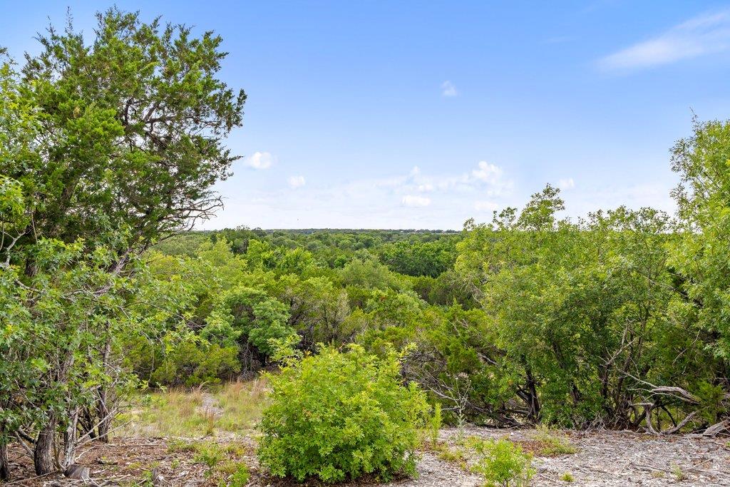 137 Glory Ln, Leander, TX 78641