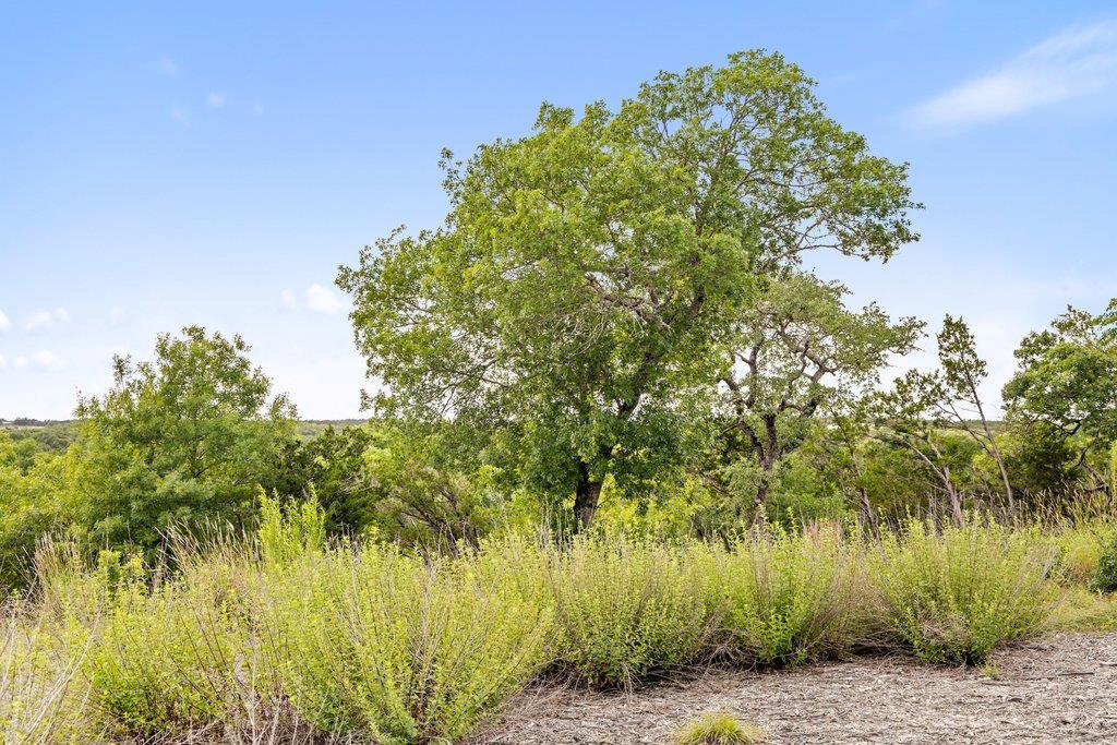 137 Glory Ln, Leander, TX 78641