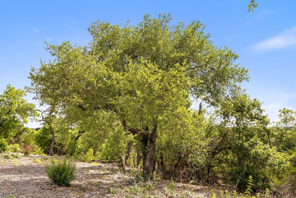 137 Glory Ln, Leander, TX 78641