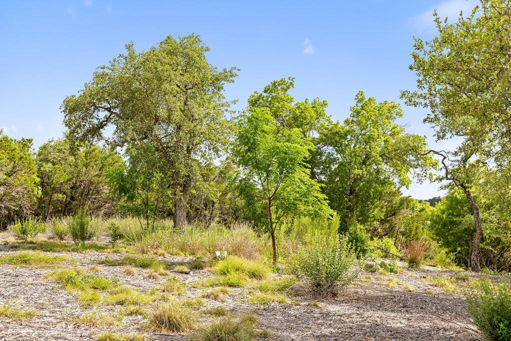 137 Glory Ln, Leander, TX 78641