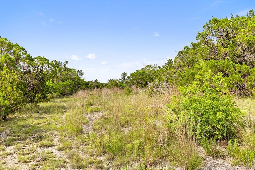 137 Glory Ln, Leander, TX 78641