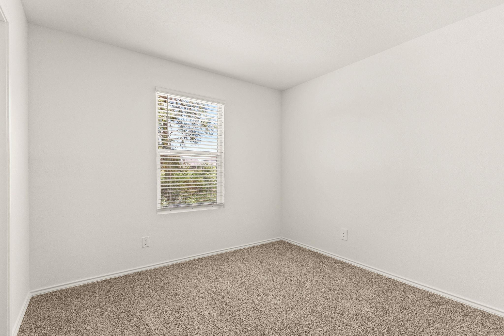 14865 Gold Lace Cactus, San Antonio, TX 78221
