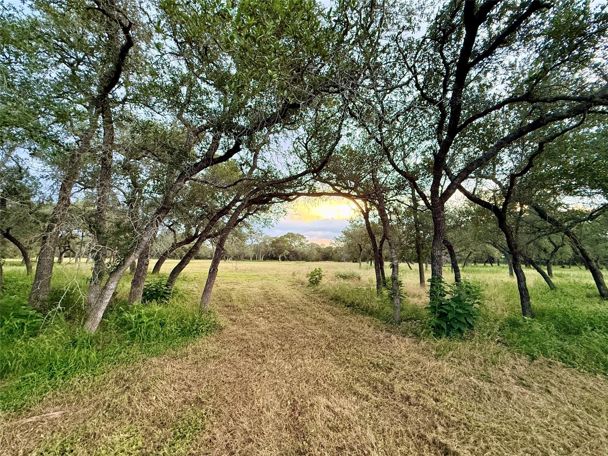 1435 Hilliard Rd, San Marcos, TX 78666