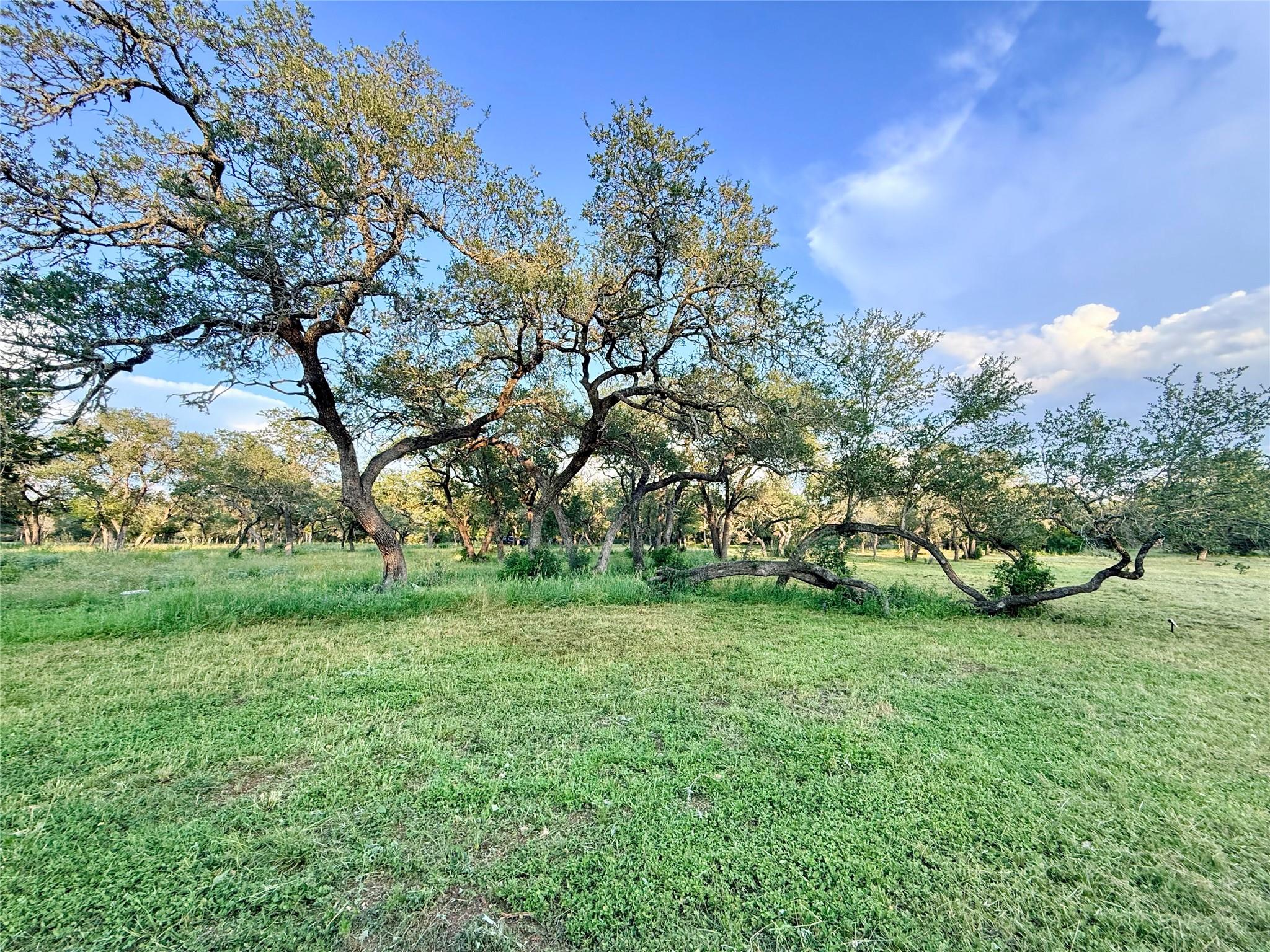 1435 Hilliard Rd, San Marcos, TX 78666