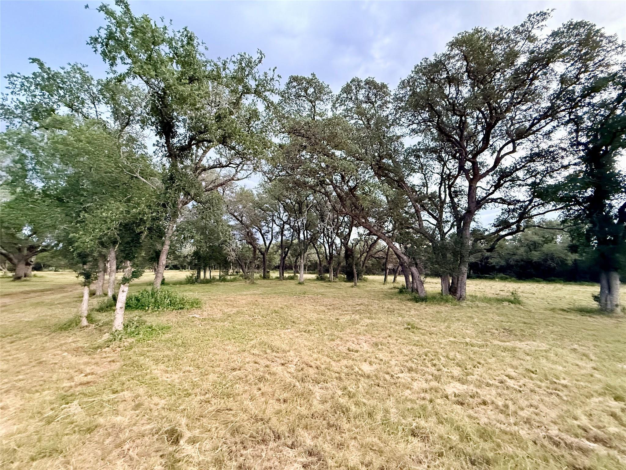 1435 Hilliard Rd, San Marcos, TX 78666