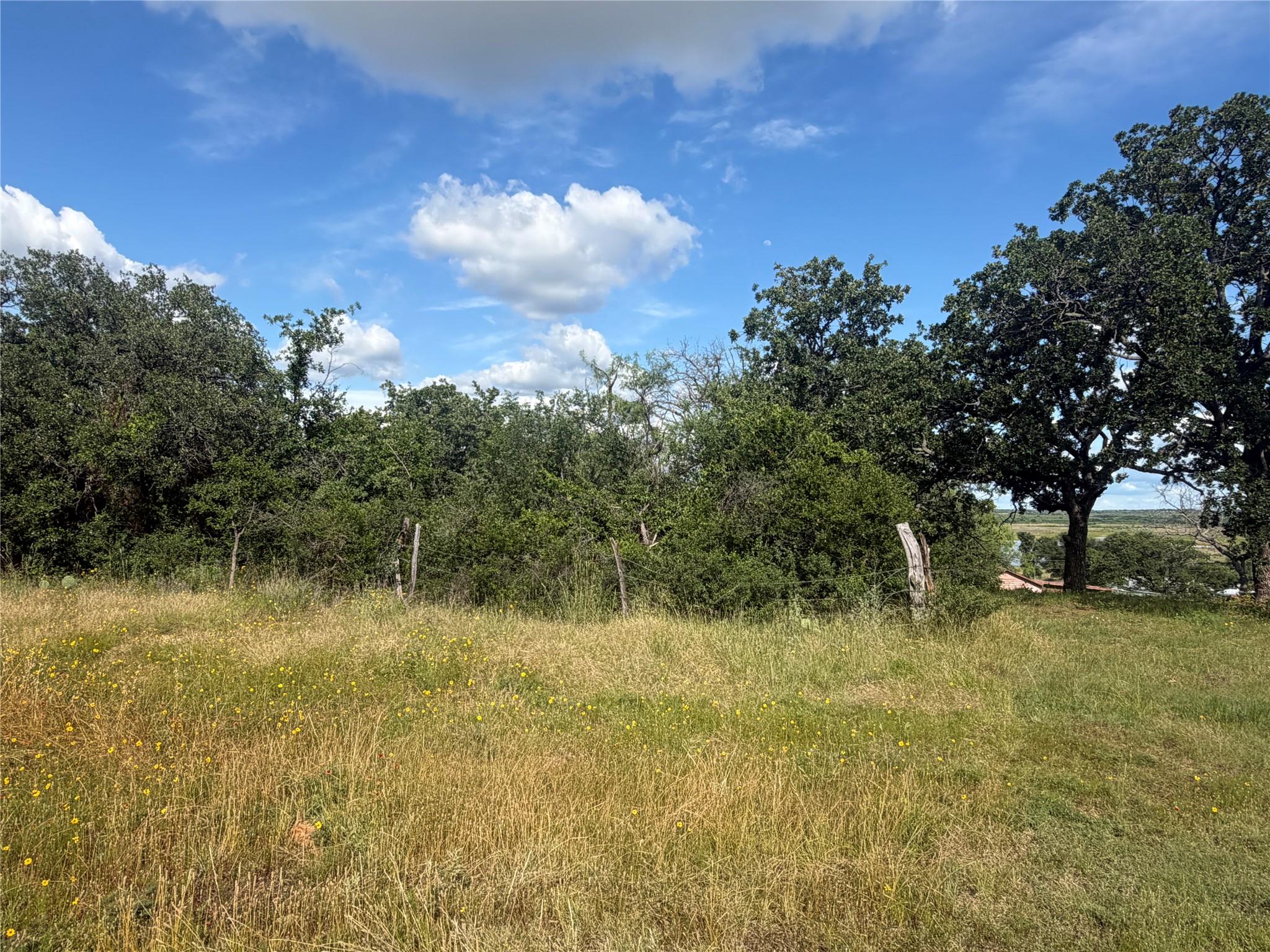 TBD FM 2231 Rd, Breckenridge, TX 76242