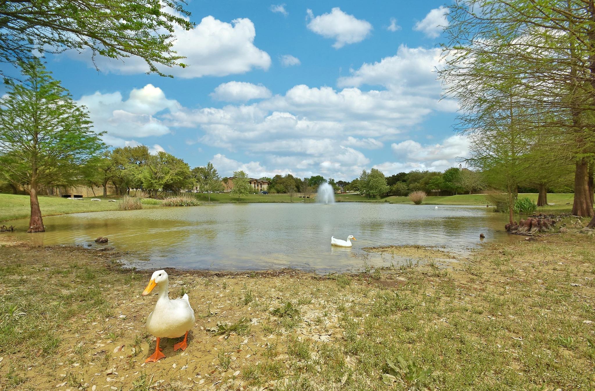 130 Granite Ln, Austin, TX 78737