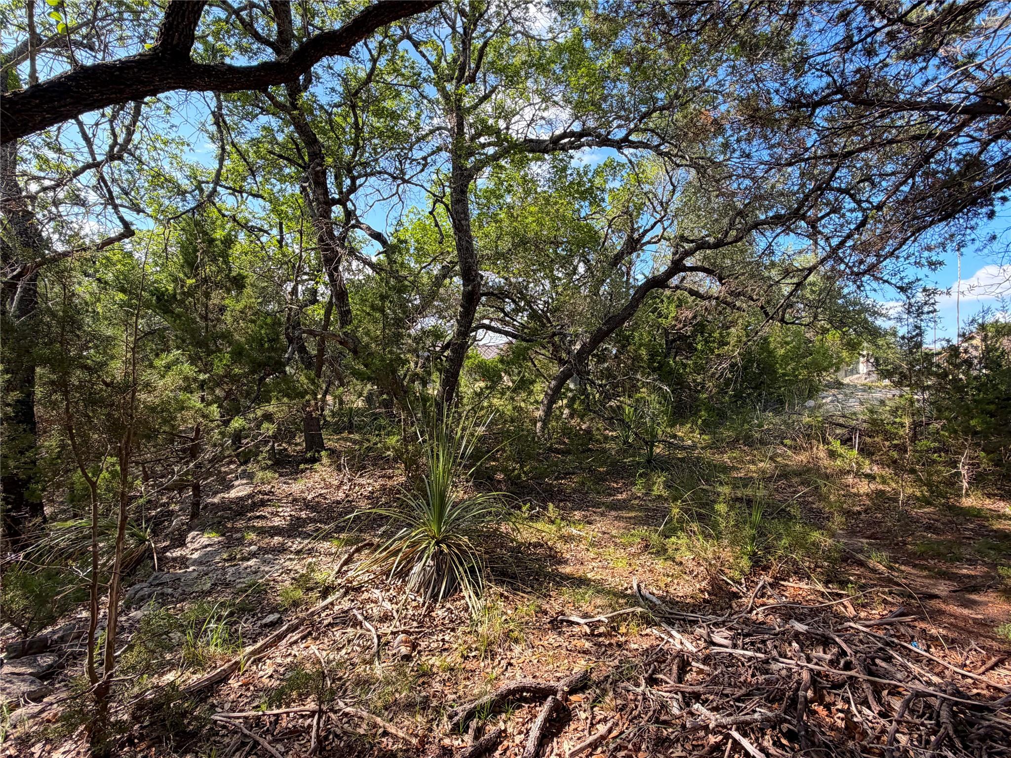 2021 Ronda Ct, Canyon Lake, TX 78133