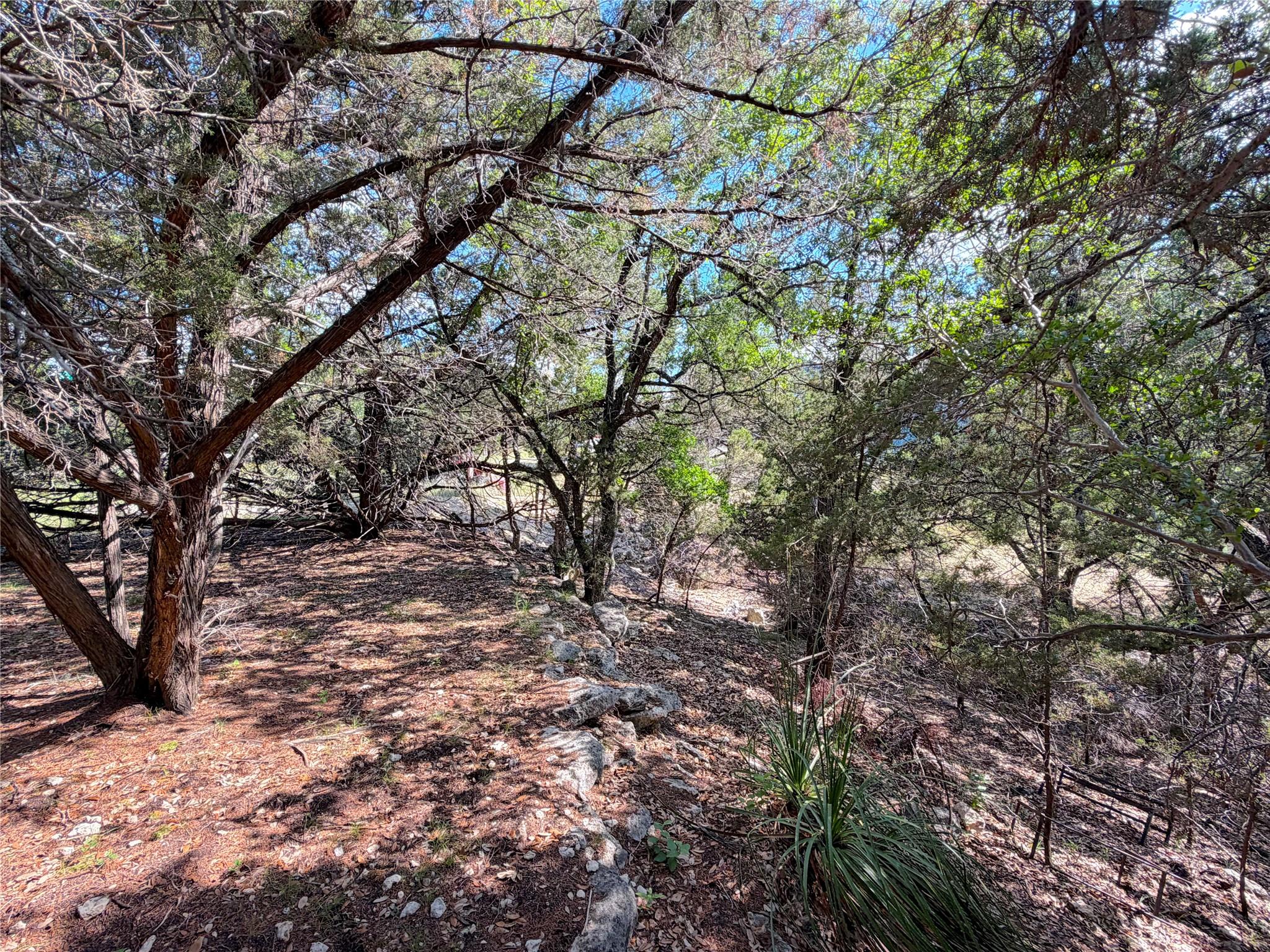 2021 Ronda Ct, Canyon Lake, TX 78133
