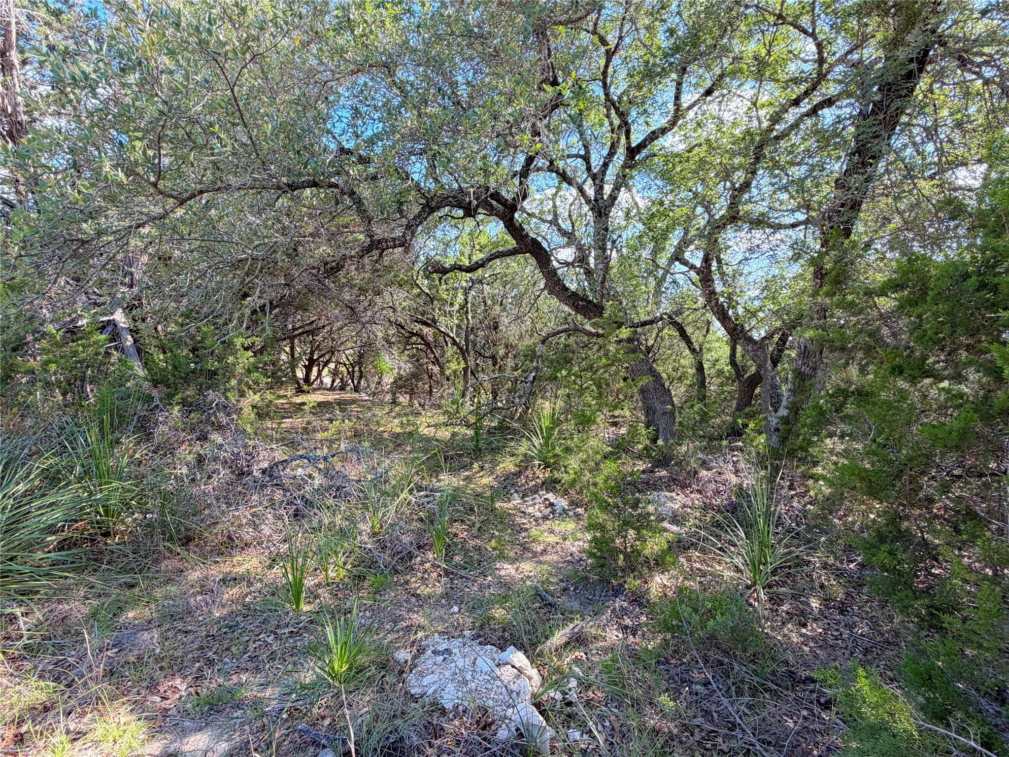 2021 Ronda Ct, Canyon Lake, TX 78133