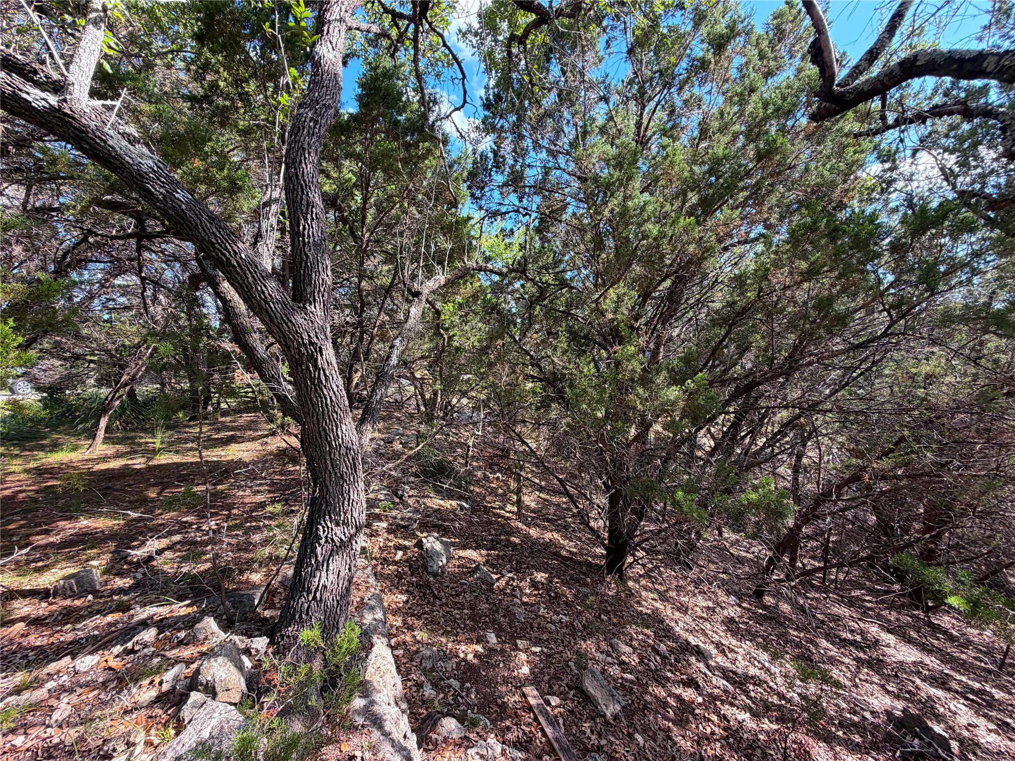 2021 Ronda Ct, Canyon Lake, TX 78133