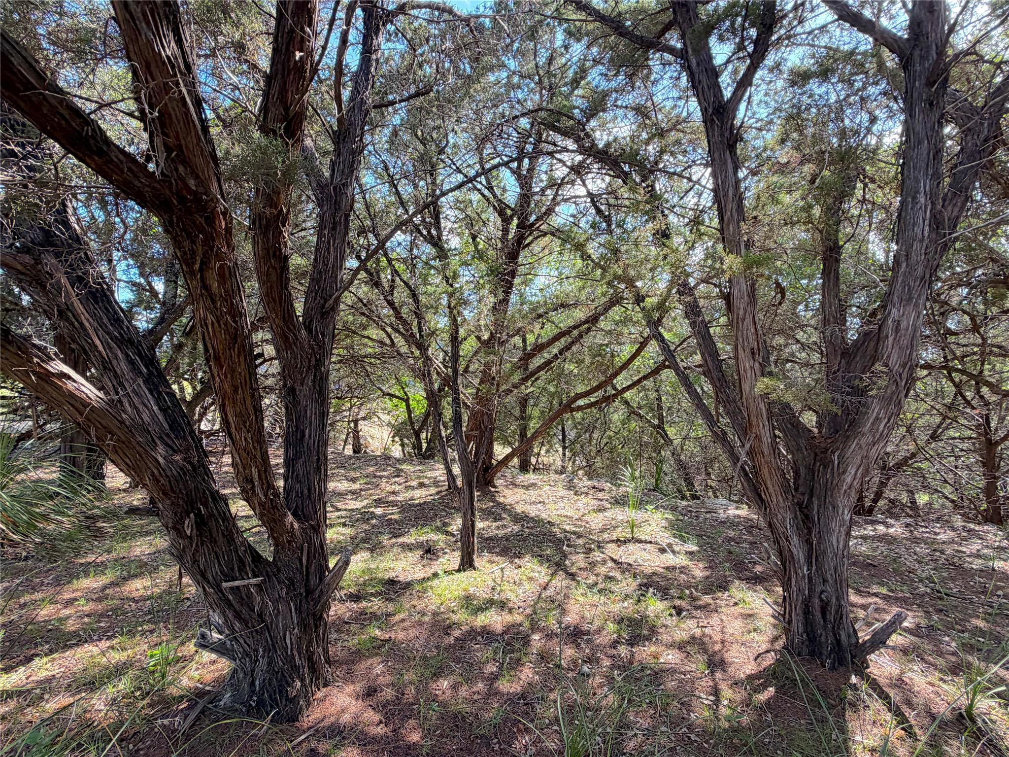 2021 Ronda Ct, Canyon Lake, TX 78133