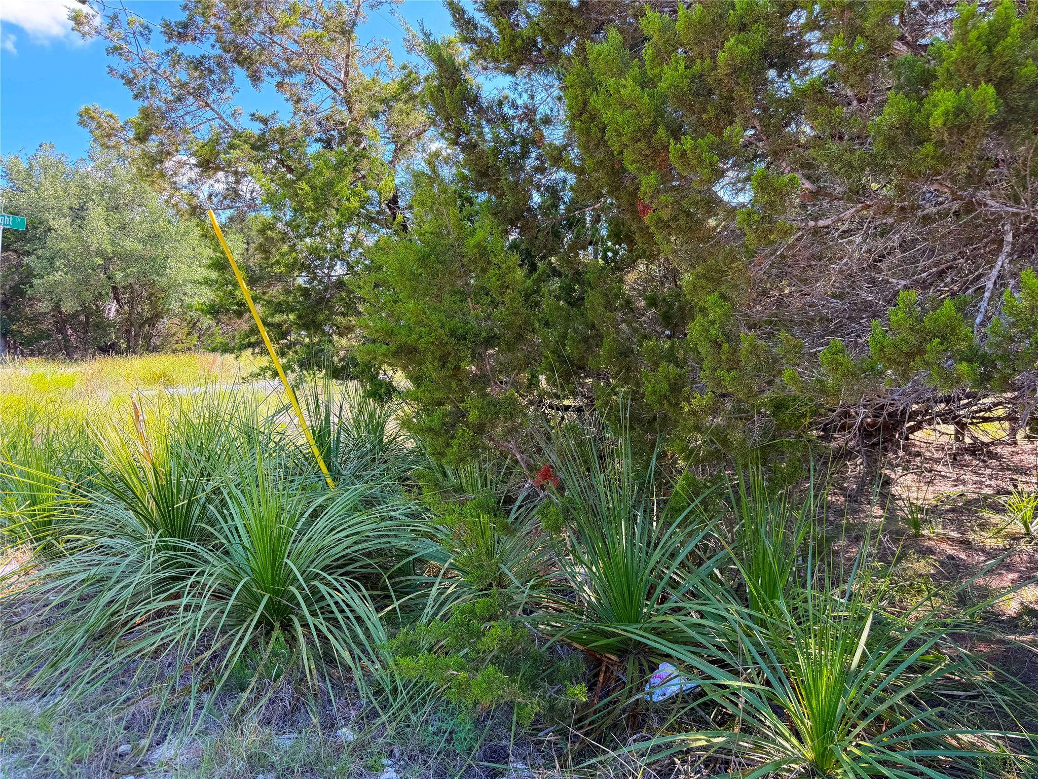 2021 Ronda Ct, Canyon Lake, TX 78133
