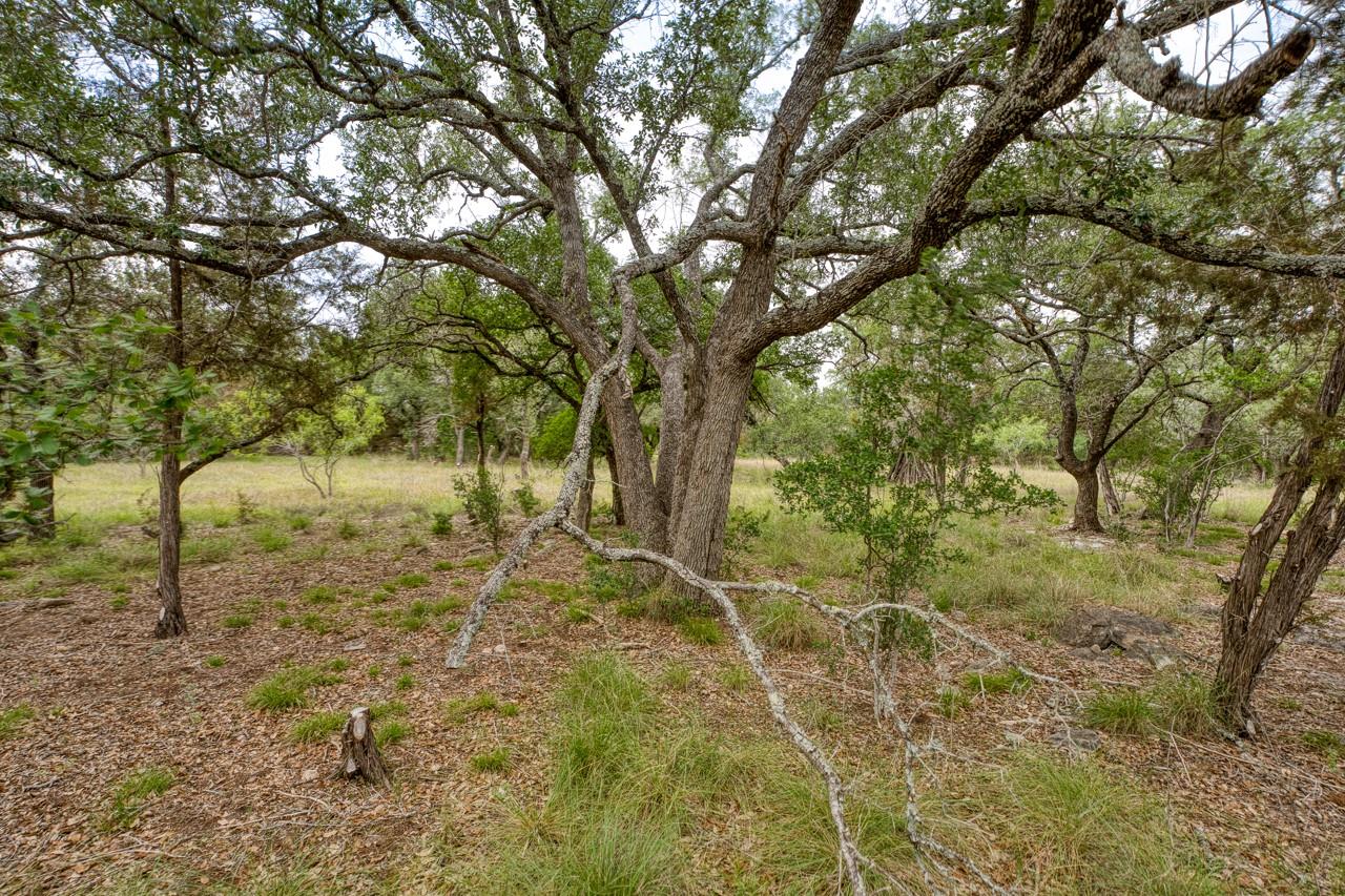1365 Pedernales Hills Rd, Johnson City, TX 78636
