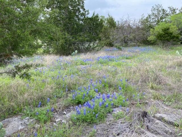 1365 Pedernales Hills Rd, Johnson City, TX 78636