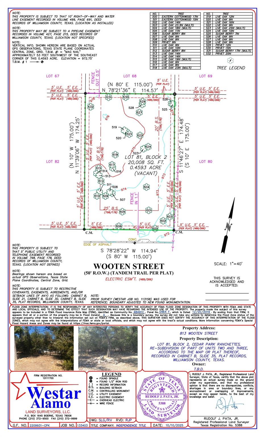 813 Wooten St, Cedar Park, TX 78613