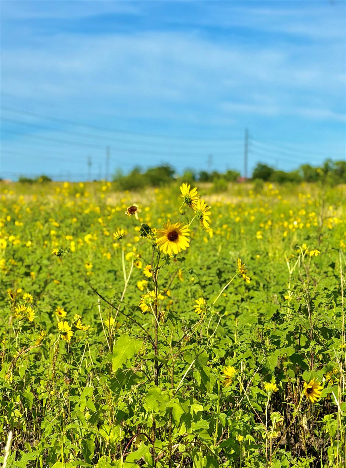 TBD Tract H County Road 512, Hondo, TX 78850
