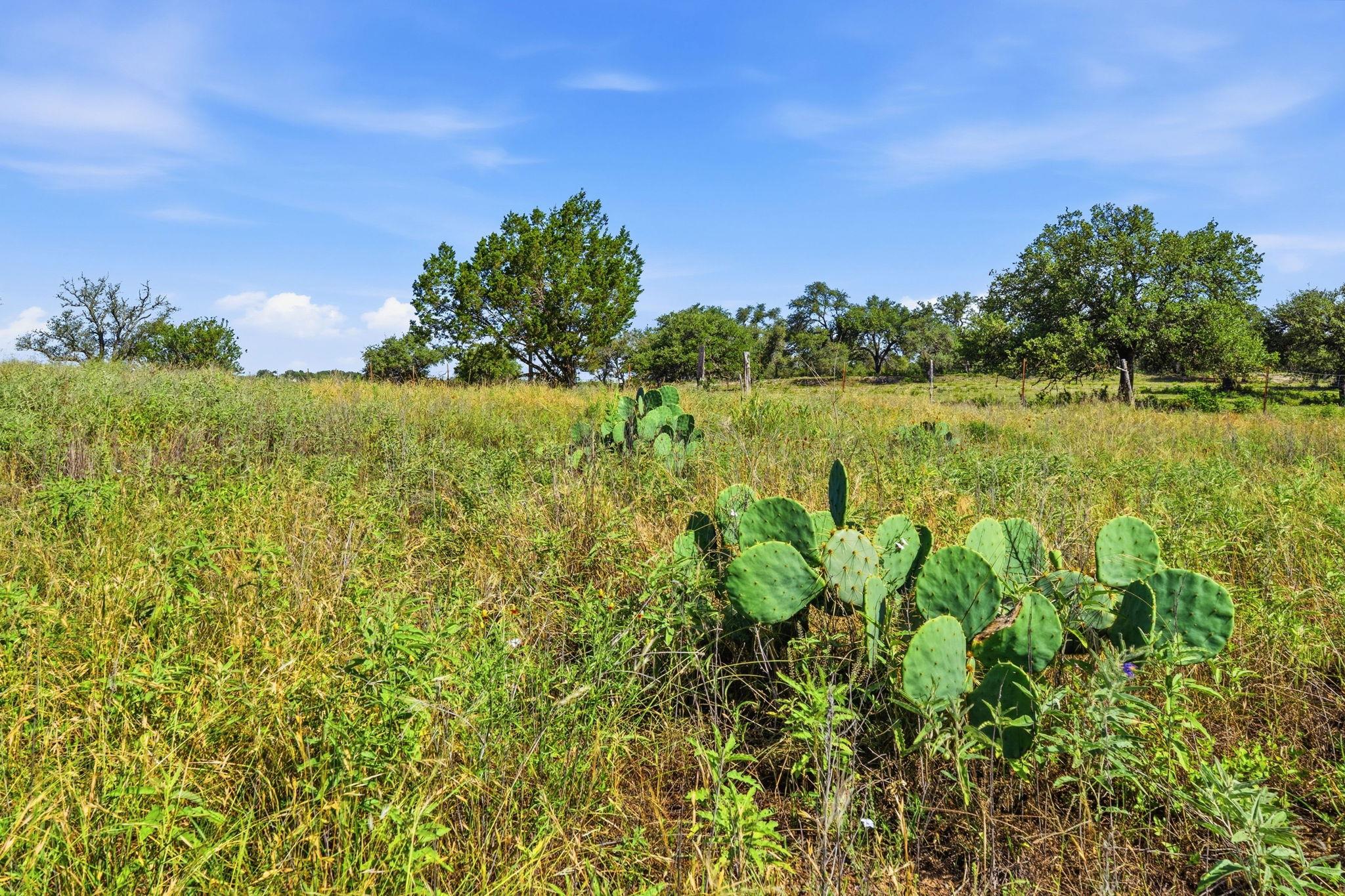 4400 W Highway 290, Dripping Springs, TX 78620
