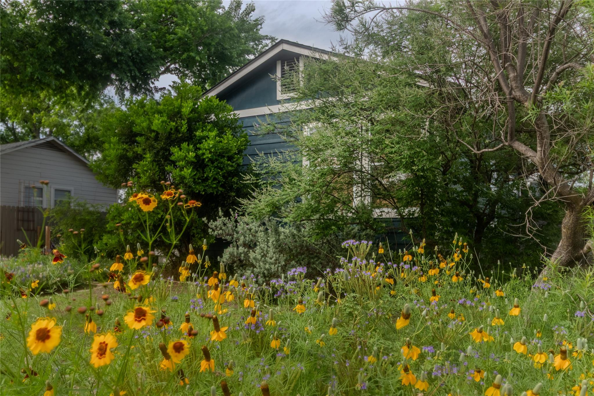 4608 Wally Ave, Austin, TX 78721