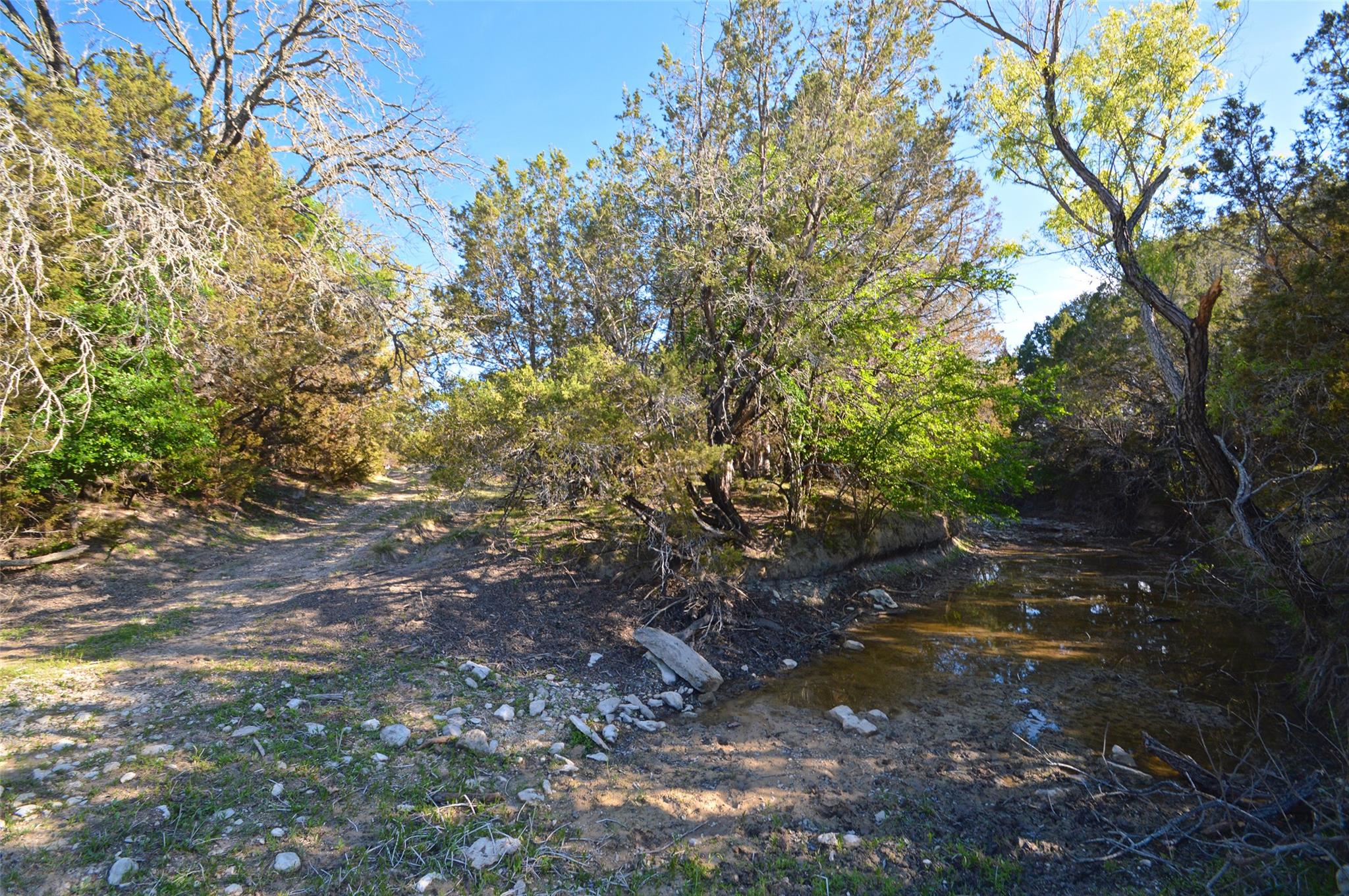 0 FM 581 Highway, Lometa, TX 76853