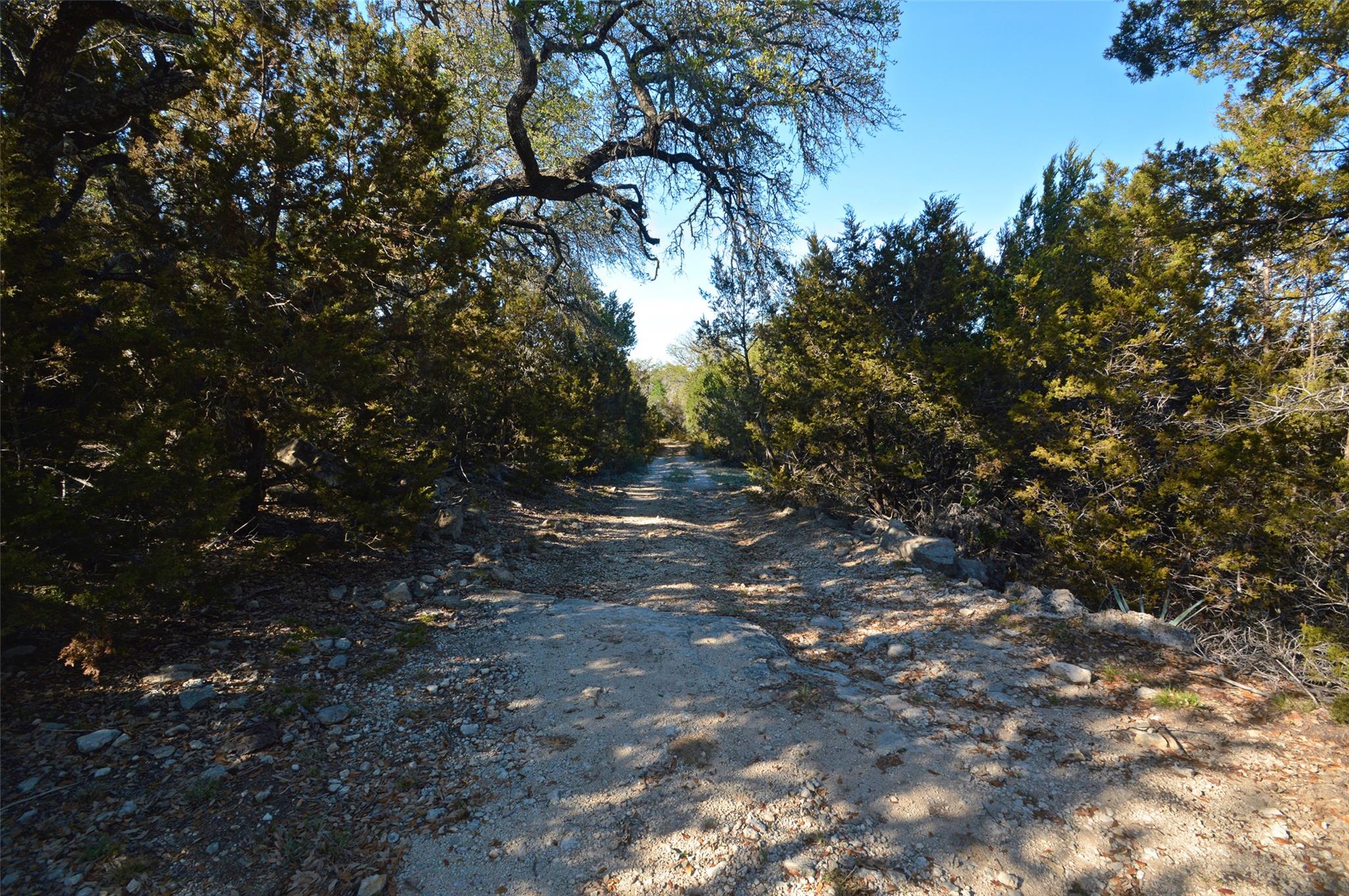 0 FM 581 Highway, Lometa, TX 76853