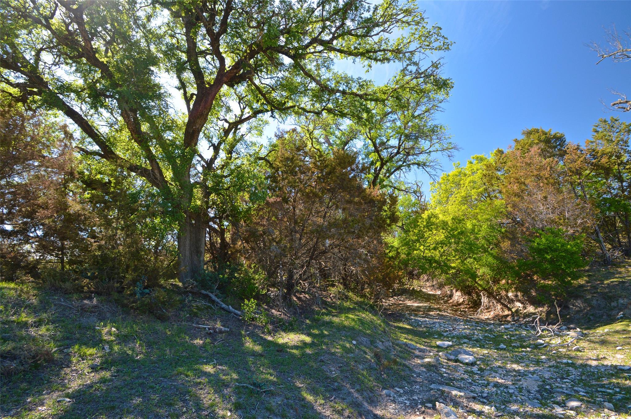 0 FM 581 Highway, Lometa, TX 76853