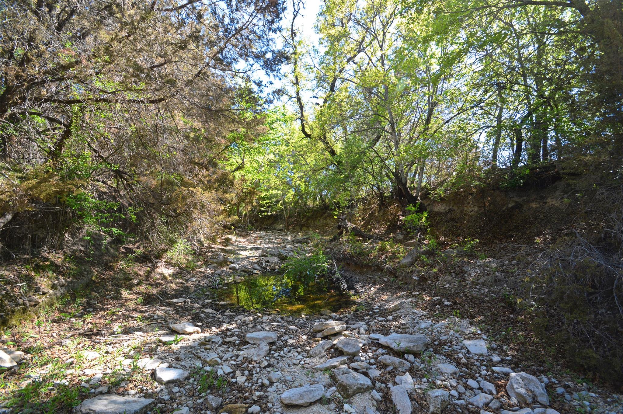 0 FM 581 Highway, Lometa, TX 76853