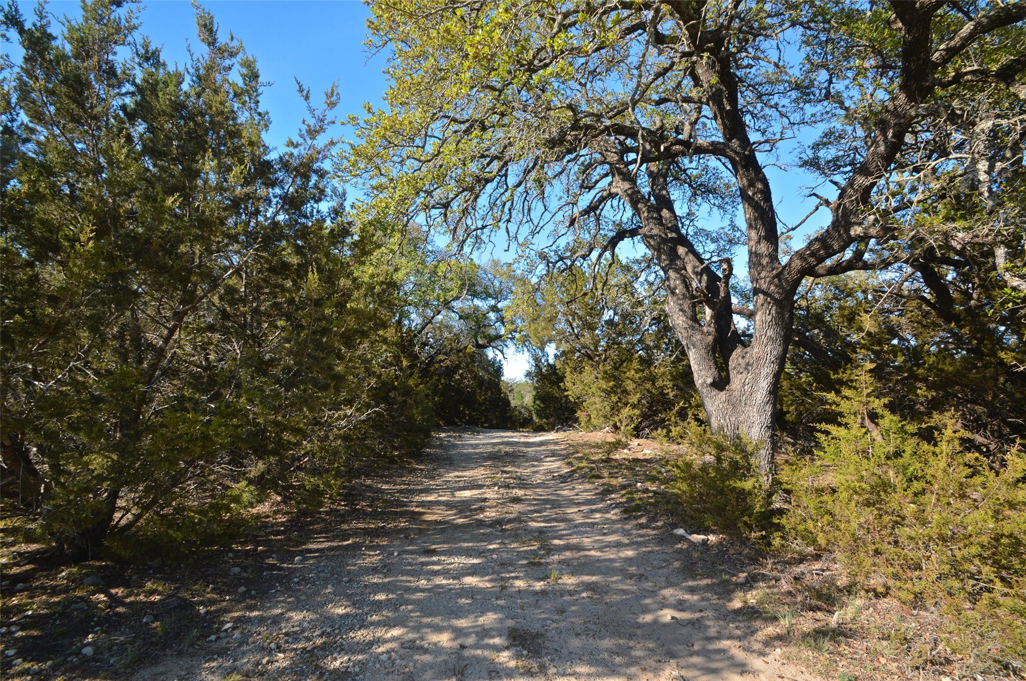 0 FM 581 Highway, Lometa, TX 76853