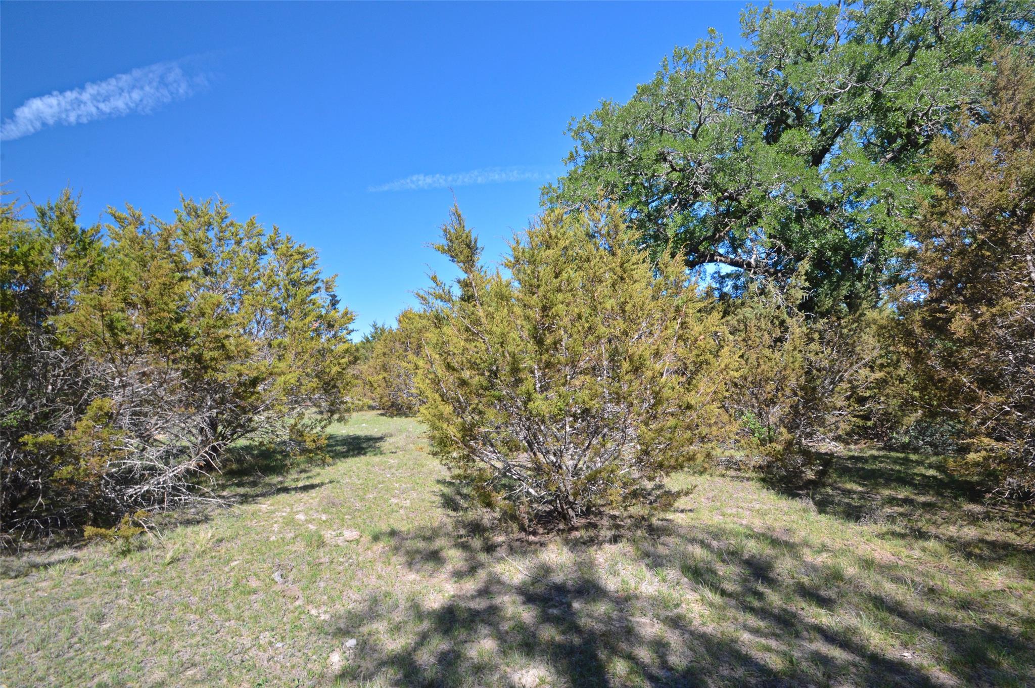 0 FM 581 Highway, Lometa, TX 76853
