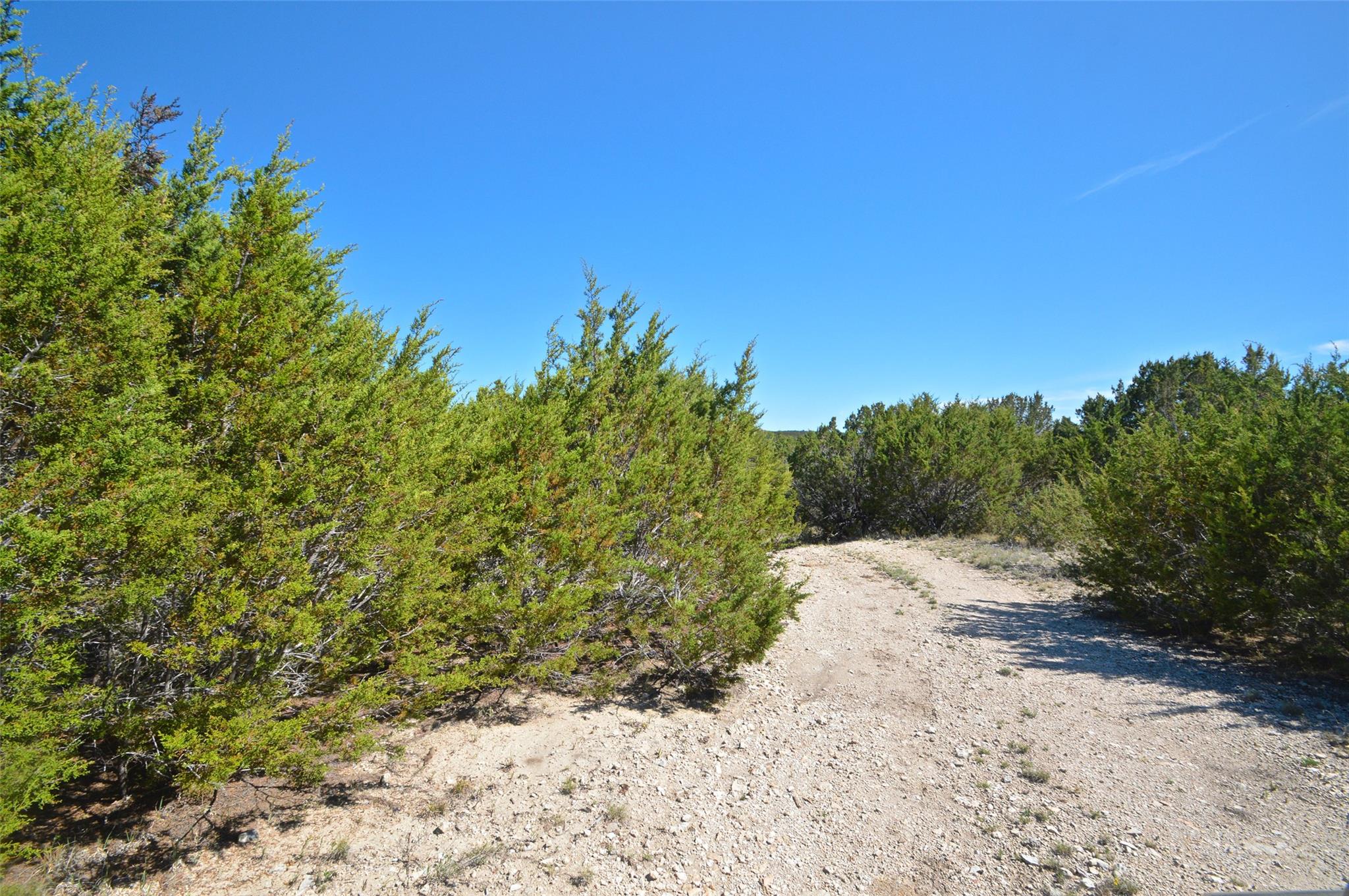 0 FM 581 Highway, Lometa, TX 76853
