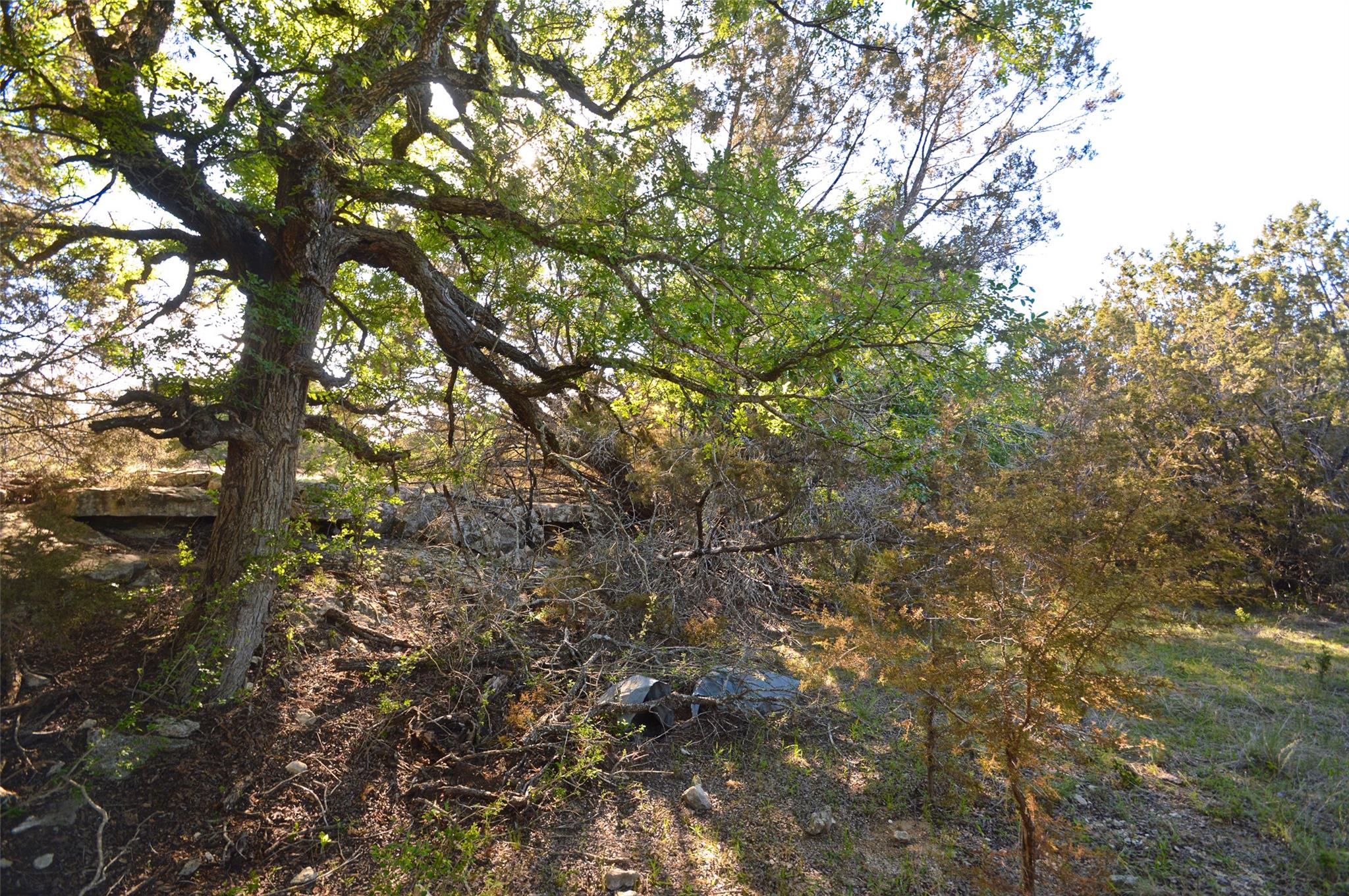 0 FM 581 Highway, Lometa, TX 76853