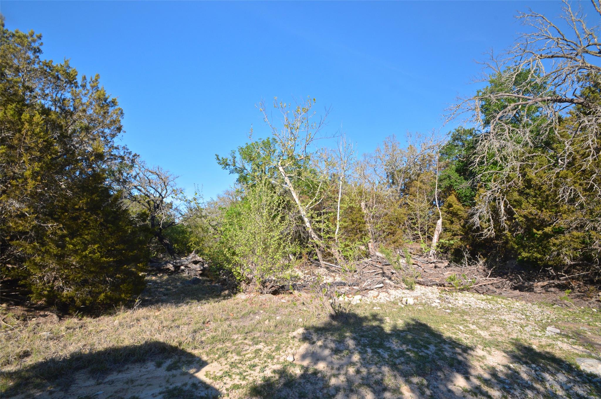 0 FM 581 Highway, Lometa, TX 76853