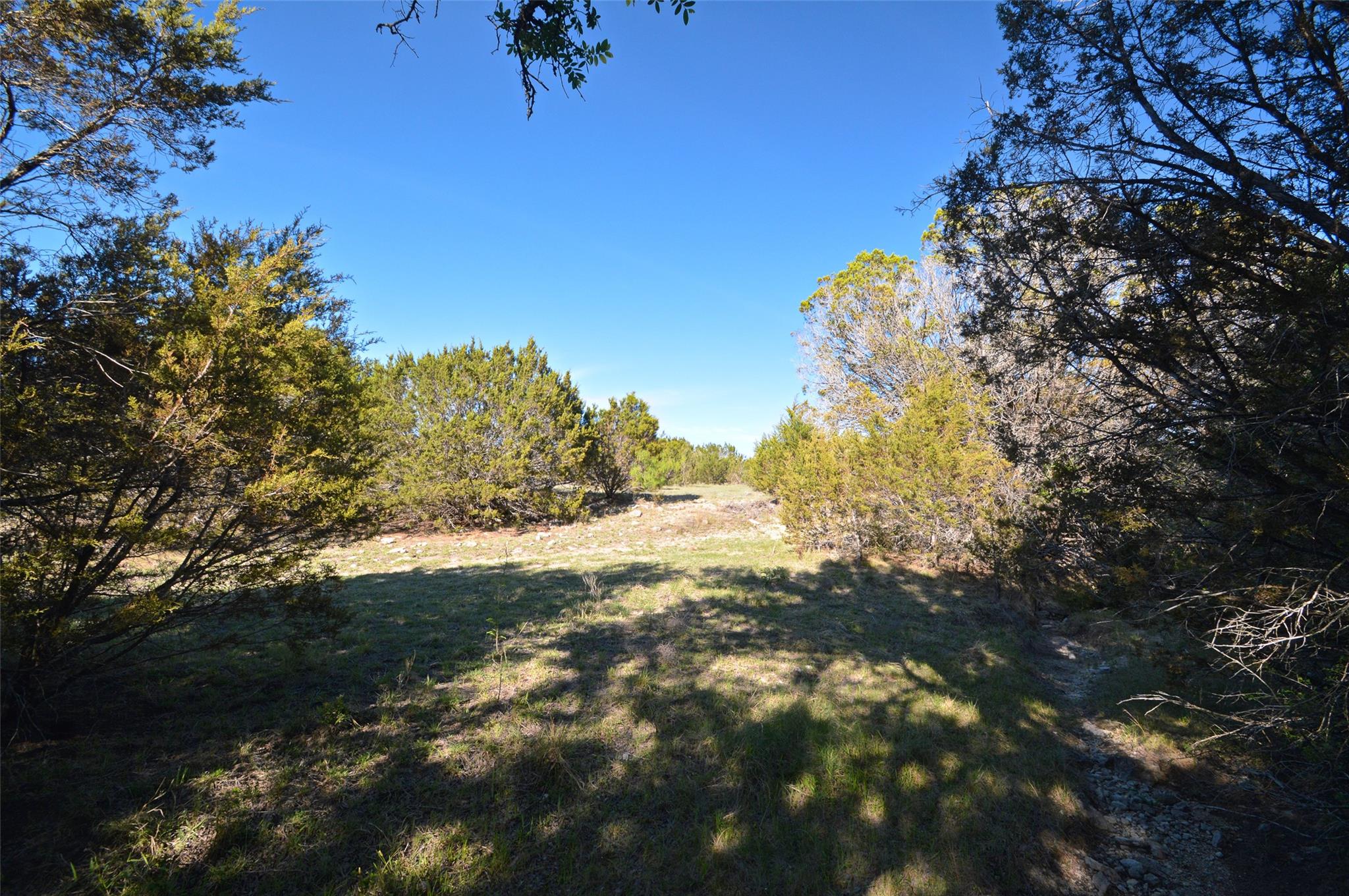 0 FM 581 Highway, Lometa, TX 76853
