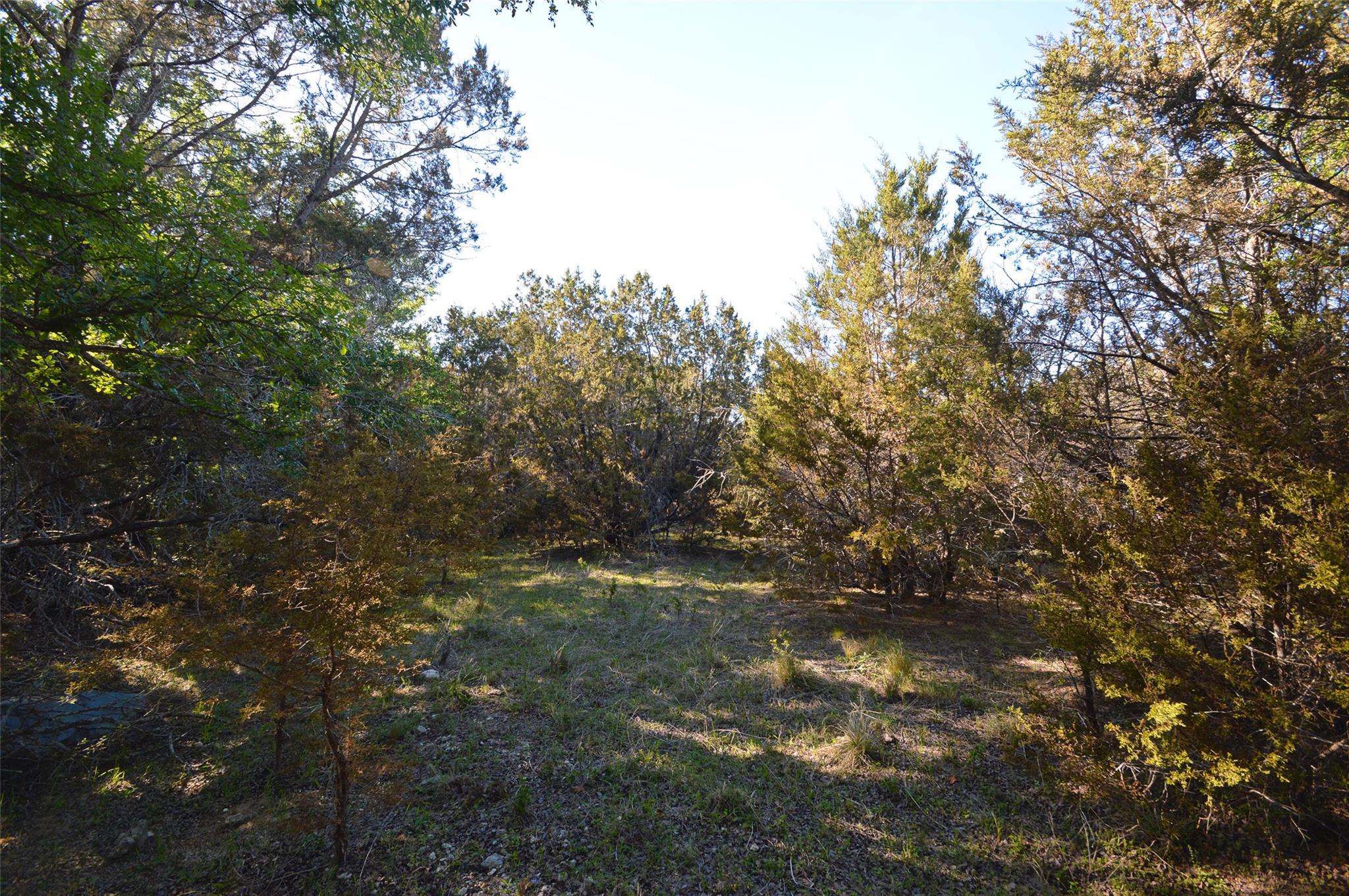 0 FM 581 Highway, Lometa, TX 76853