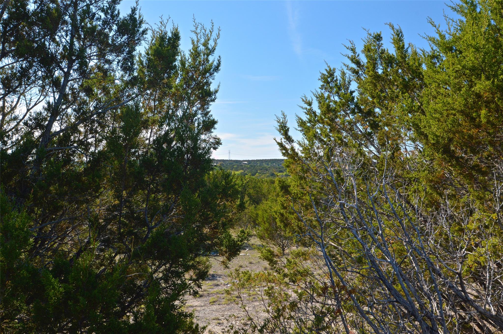 0 FM 581 Highway, Lometa, TX 76853