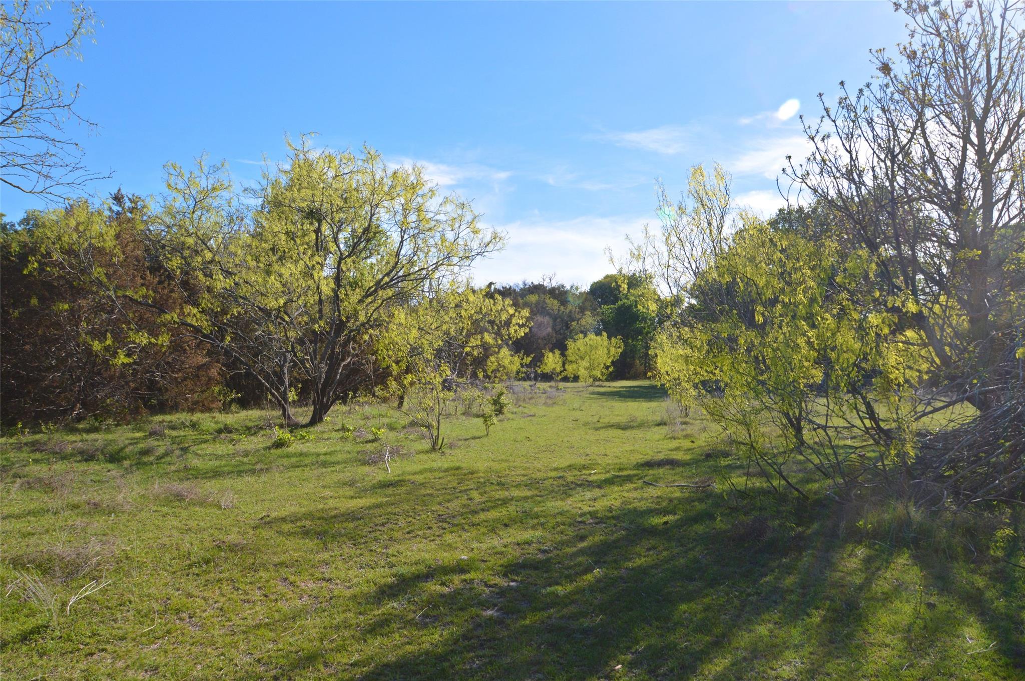 0 FM 581 Highway, Lometa, TX 76853