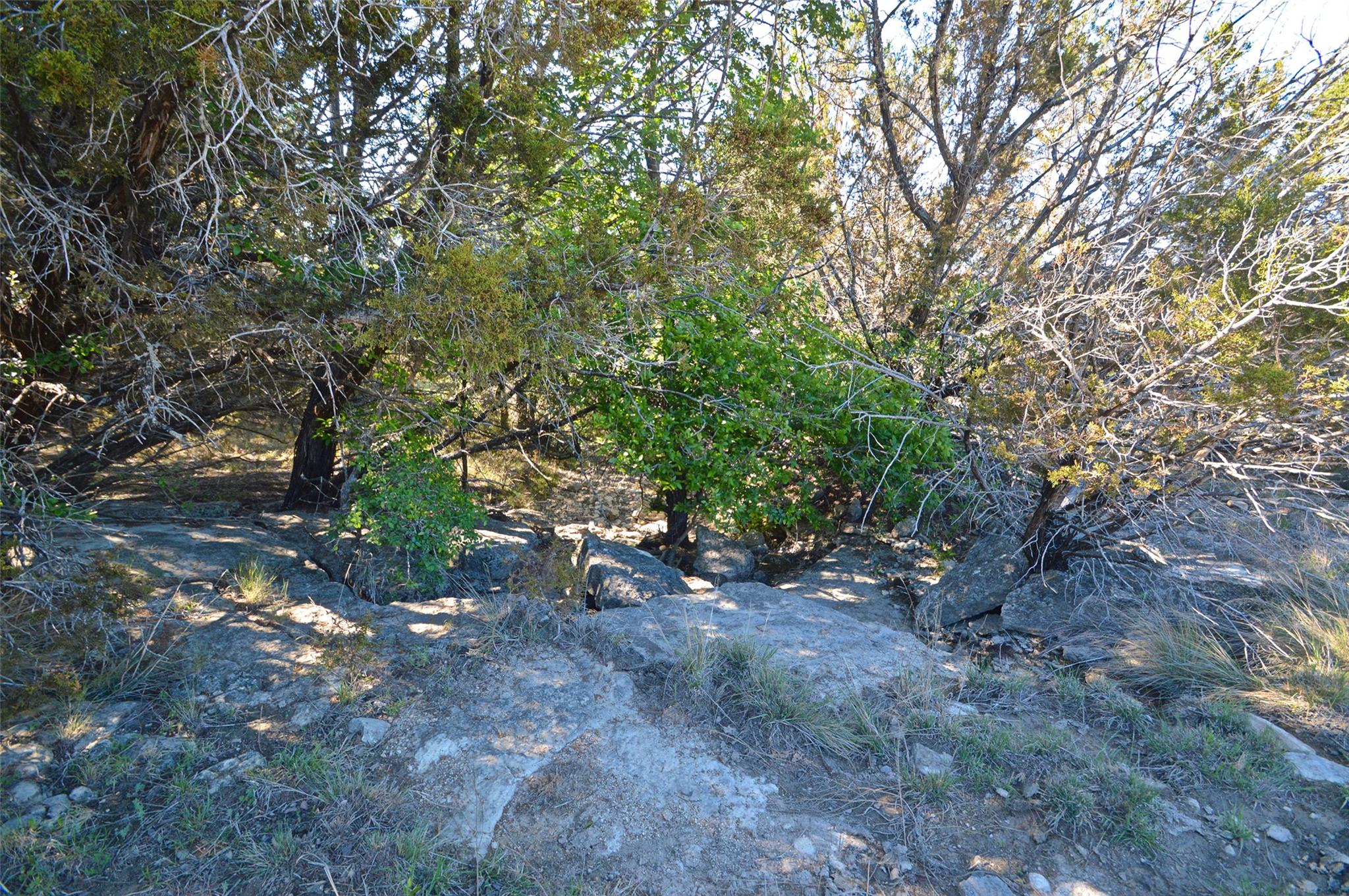 0 FM 581 Highway, Lometa, TX 76853